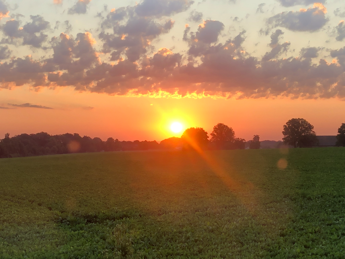 Sonnenaufgang über einem Feld bei Spenge